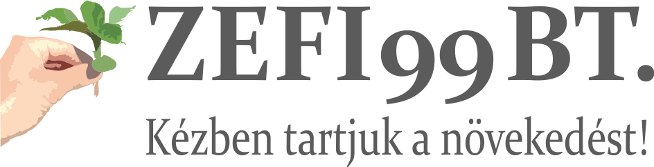 ZEFI 99 BT.